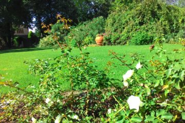 Realizzazione Giardini